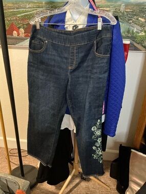 The Pioneer Woman Dark Indigo Cropped Jeans with Green Floral Embroidery
